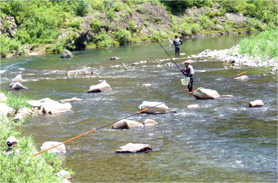 沈下橋近くの遊漁スポットにて（7月）